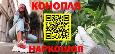 apvp Кингисепп