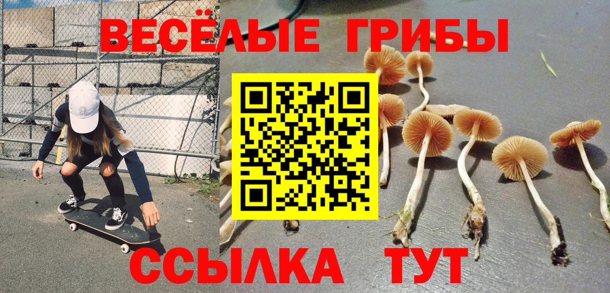 Галлюциногенные грибы MAGIC MUSHROOMS  Псилоцибиновые грибы Magic Shrooms  купить закладку  Краснознаменск  Вход с VPN 