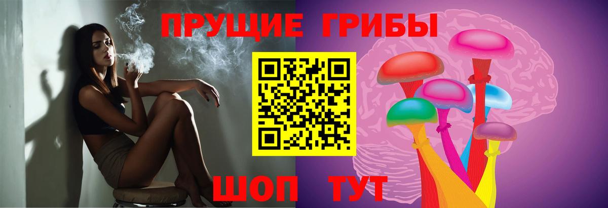 Галлюциногенные грибы GOLDEN TEACHER Краснознаменск